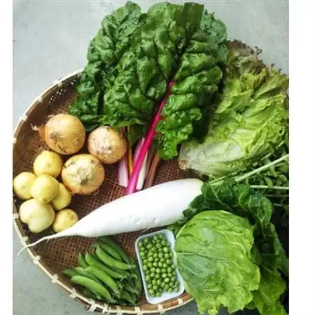 田口農園徳島の世界農業遺産ブランド野菜　 農家人が選ぶ旬野菜のおまかせセット【配送不可地域：離島】【1381836】