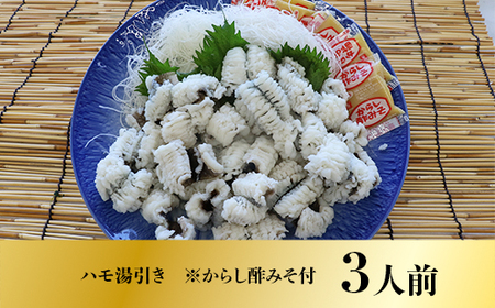 AO0201 鱧（ハモ）湯引きセット（3人前） 冷蔵 山口県産