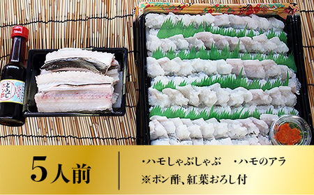 AO0102 鱧（ハモ）しゃぶセット（5人前） 冷蔵 山口県産