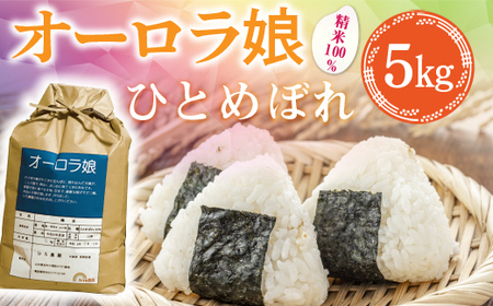 米 ひとめぼれ (精米100％) 5kg オーロラ娘 BE0201 