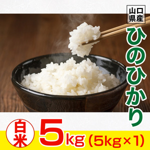 山口県産 ひのひかり 5kg 米 精米 AF0201