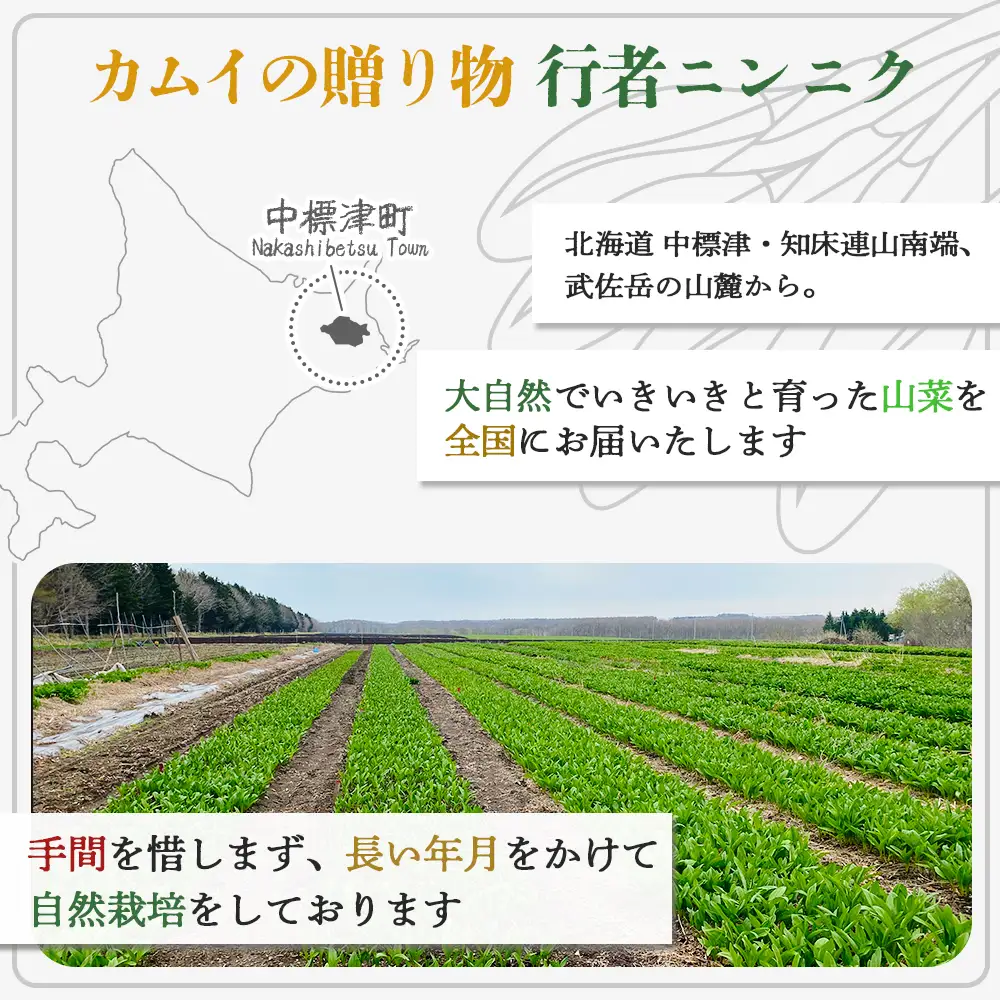 行者ニンニクFDカプセル90粒×2袋【2000801】
