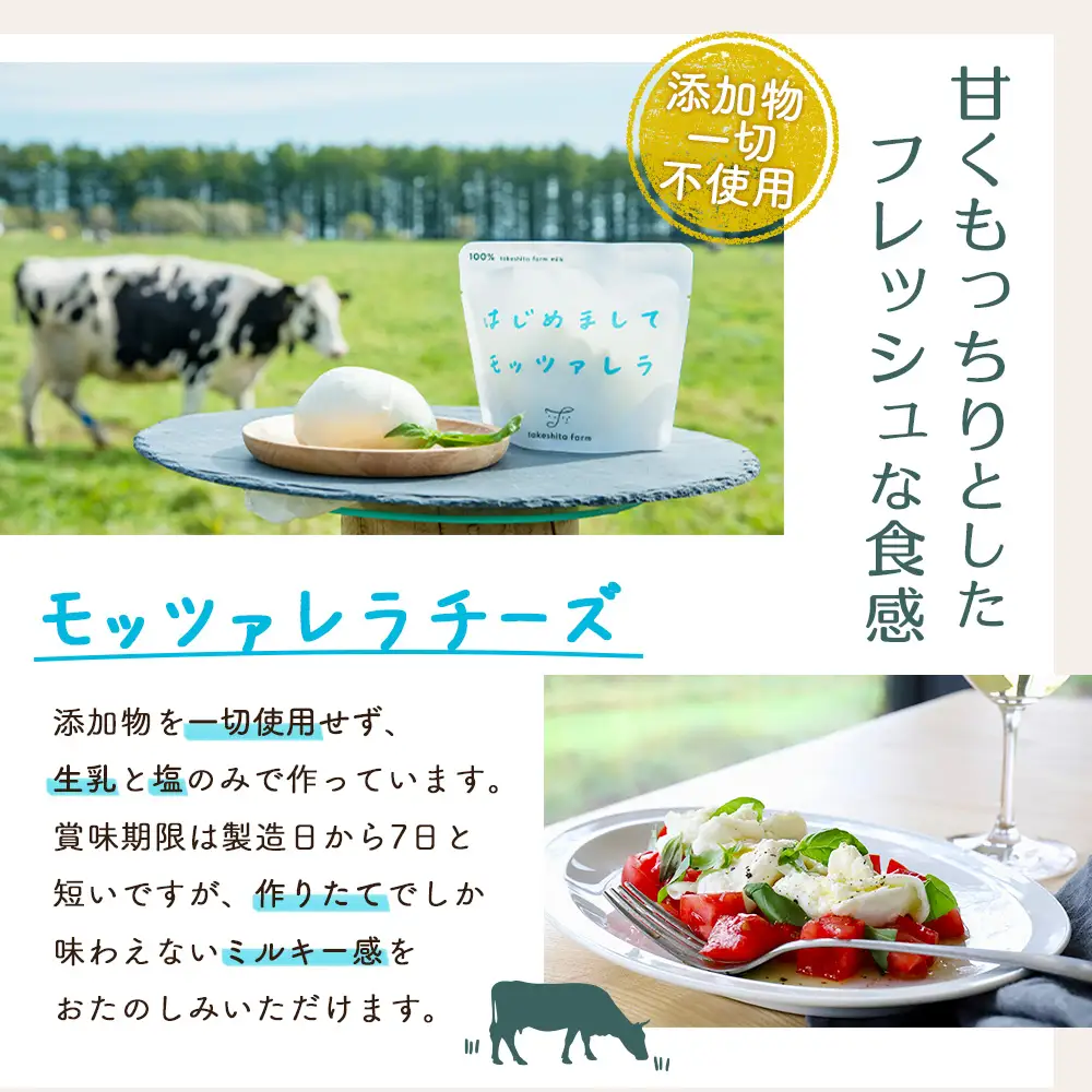 【★高評価レビュー獲得！】竹下牧場まるごとチーズセット モッツァレラ マリボーCUBE マリボー 乳製品 チーズ チーズセット モッツアレラ マリボー 発酵食品 ふるさと納税 北海道 中標津町 中標津【2400102】