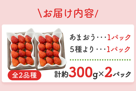 あまおうと旬のいちごの食べ比べセット 約300g×2パック 紅ほっぺ 恋みのり よつぼし スターナイト 星の煌き おすすめ 福岡県 大木町 BO002【2025年12月下旬～2026年4月末頃にかけて順次出荷予定】