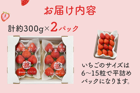あまおう 約270g×2パック おすすめ 福岡県 大木町 BO003 【2026年12月下旬～2025年4月末頃にかけて順次出荷予定】いちご フルーツ 苺