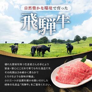 飛騨牛「希少部位」Ａ5 三角バラ 焼肉用 300ｇ｜国産 肉 牛肉 焼肉 和牛 黒毛和牛 グルメ おすすめ AD101 【飛騨牛 和牛ブランド 飛騨牛 黒毛和牛 飛騨牛 岐阜 大野町 飛騨牛】