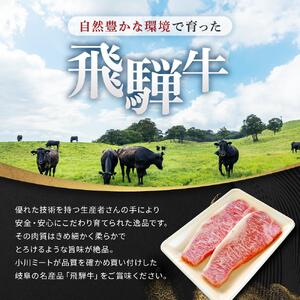 飛騨牛 A5 サーロイン ステーキ用 400ｇ（200g×2枚）｜国産 肉 牛肉 焼肉 ステーキ 和牛 黒毛和牛 グルメ  A5等級 おすすめ AD107【飛騨牛 和牛ブランド 飛騨牛 黒毛和牛 飛騨牛 岐阜 大野町 飛騨牛】