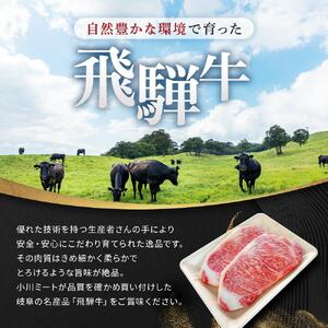 飛騨牛 A5 サーロイン ステーキ用 600ｇ（300g×2枚）｜国産 肉 牛肉 焼肉 ステーキ 和牛 黒毛和牛  A5等 級 グルメ おすすめ AD108【飛騨牛 和牛ブランド 飛騨牛 黒毛和牛 飛騨牛 岐阜 大野町 飛騨牛】