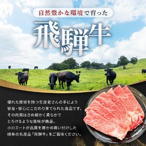飛騨牛 A5 スライス 1kg（500g×2パック）ロース 又は 肩ロース 肉 ｜国産 肉 すき焼き しゃぶしゃぶ 和牛 黒毛和牛 グルメ A5等級 おすすめ AD113【飛騨牛 和牛ブランド 飛騨牛 黒毛和牛 飛騨牛 岐阜 大野町 飛騨牛】