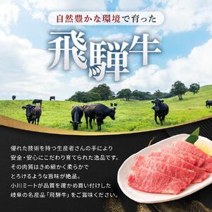 飛騨牛Ａ5 焼肉用 500ｇ ロース 又は 肩ロース 肉 ｜国産 肉 牛肉 焼肉 和牛 黒毛和牛 グルメ A5等級 おすすめ AD115【飛騨牛 和牛ブランド 飛騨牛 黒毛和牛 飛騨牛 岐阜 大野町 飛騨牛】