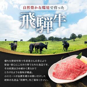飛騨牛Ａ5 赤身肉 スライス 500ｇ モモ 又は カタ 肉 ｜国産 肉 牛肉 焼肉 すき焼き しゃぶしゃぶ 和牛 黒毛和牛 赤身 グルメ A5等級 おすすめ AD119【飛騨牛 和牛ブランド 飛騨牛 黒毛和牛 飛騨牛 岐阜 大野町 飛騨牛】