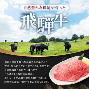 飛騨牛Ａ5 赤身肉 焼肉用 600g （300g×2パック） モモ 又は カタ 肉 ｜国産 肉 牛肉 焼肉 和牛 黒毛和牛 赤身 グルメ A5等級 おすすめ AD124 【飛騨牛 和牛ブランド 飛騨牛 黒毛和牛 飛騨牛 岐阜 大野町 飛騨牛】