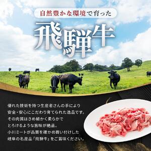 飛騨牛Ａ5 小間切れ 500g｜国産 肉 牛肉 和牛 黒毛和牛 グルメ A5等級 おすすめ AD126 【飛騨牛 和牛ブランド 飛騨牛 黒毛和牛 飛騨牛 岐阜 大野町 飛騨牛】