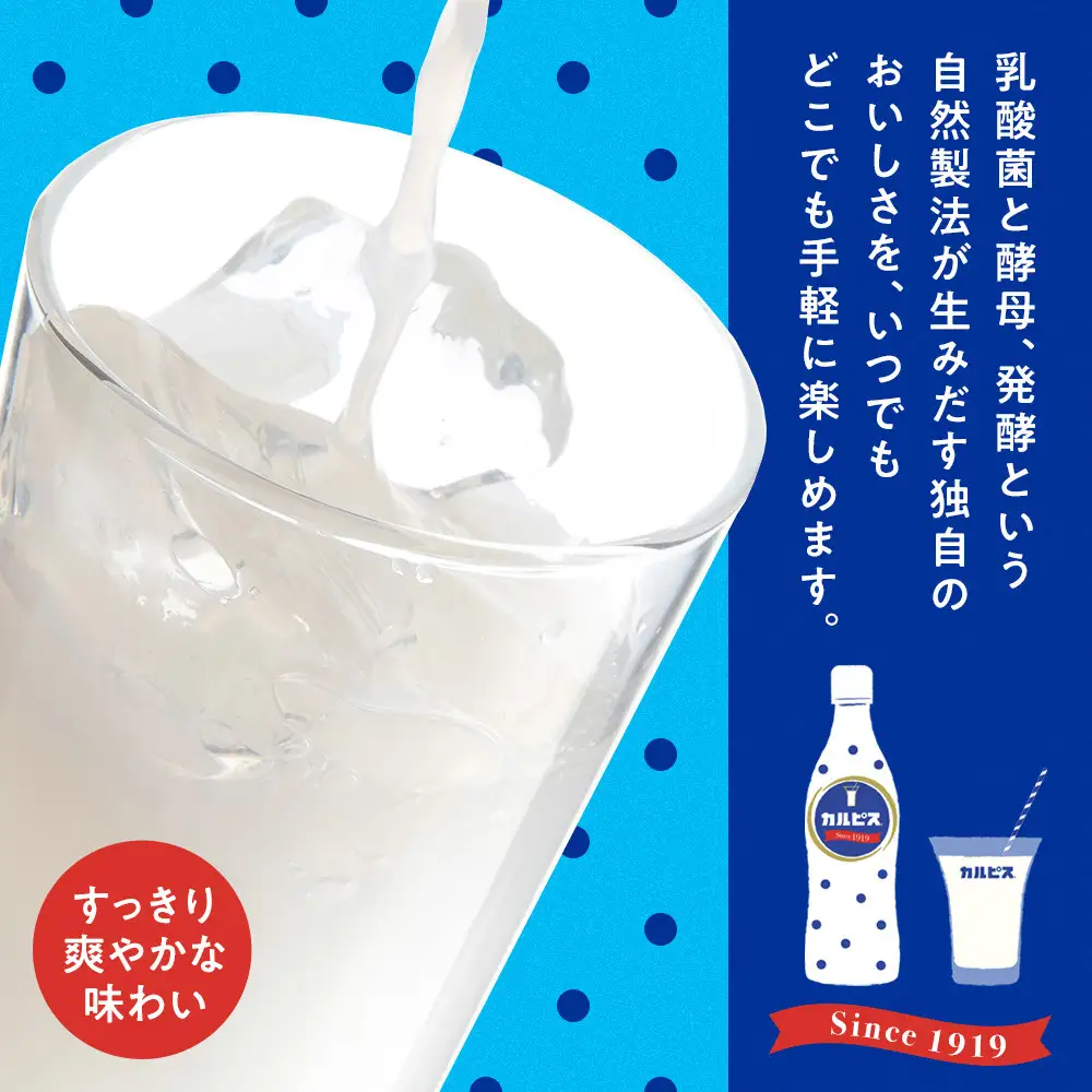 アサヒ カルピス ウォーター ペットボトル 500ml 24本 1ケース