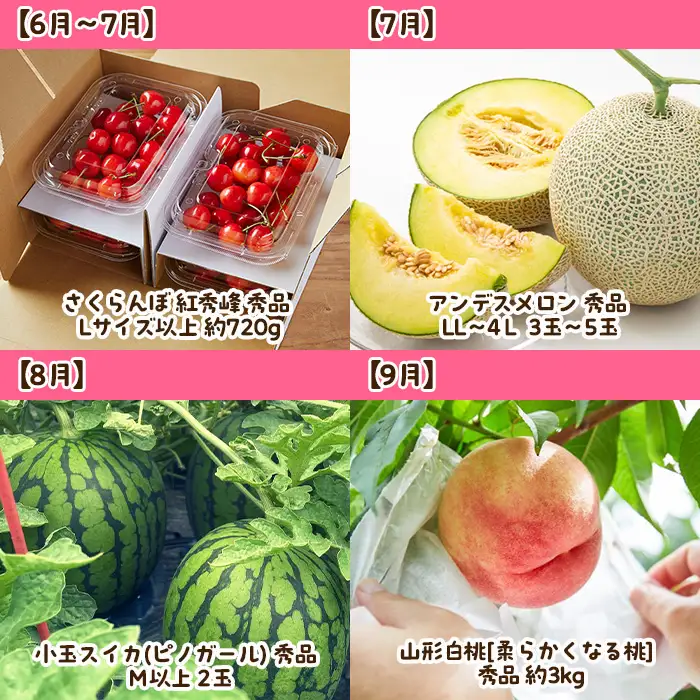 【定期便12回】まるごと山形 1年間定期便 FZ23-585