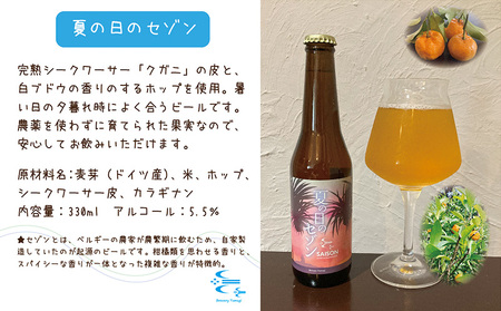ビール 久米島の恵みをたっぷり使用「久米島産ビール 果実を感じる3本セット」 クラフトビール