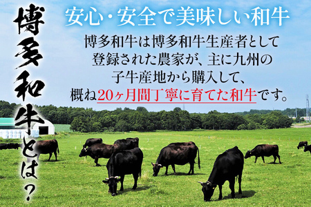 老舗肉屋のこだわり A4等級以上 博多和牛入り ハンバーグ 1.5kg (150ｇ×10個) 贅沢 国産牛 九州産 福岡県産 黒毛和牛 冷凍 ミンチ 自家製スパイス ジューシー ブランド牛