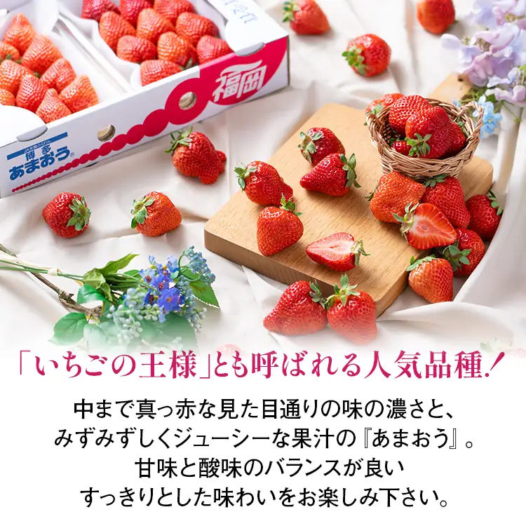 福岡産【春】あまおうDX（デラックス）4パック いちご 苺 果物 フルーツ 九州産 福岡県産 冷蔵 送料無料 【2月上旬発送開始予定】 イチゴ フルーツ 果物 くだもの ブランド 国産 甘味 果汁