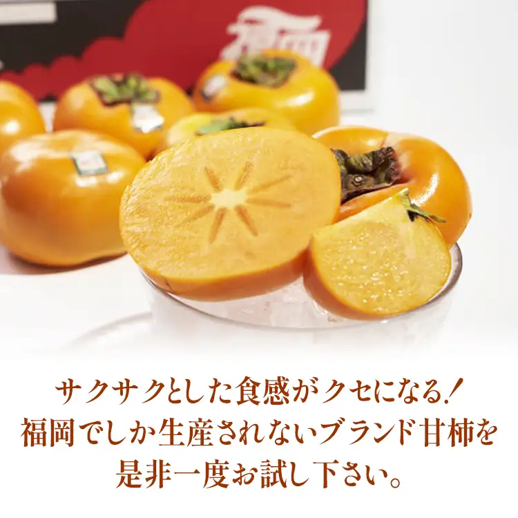 福岡県産ブランド柿「秋王」約3kg(8-12玉)