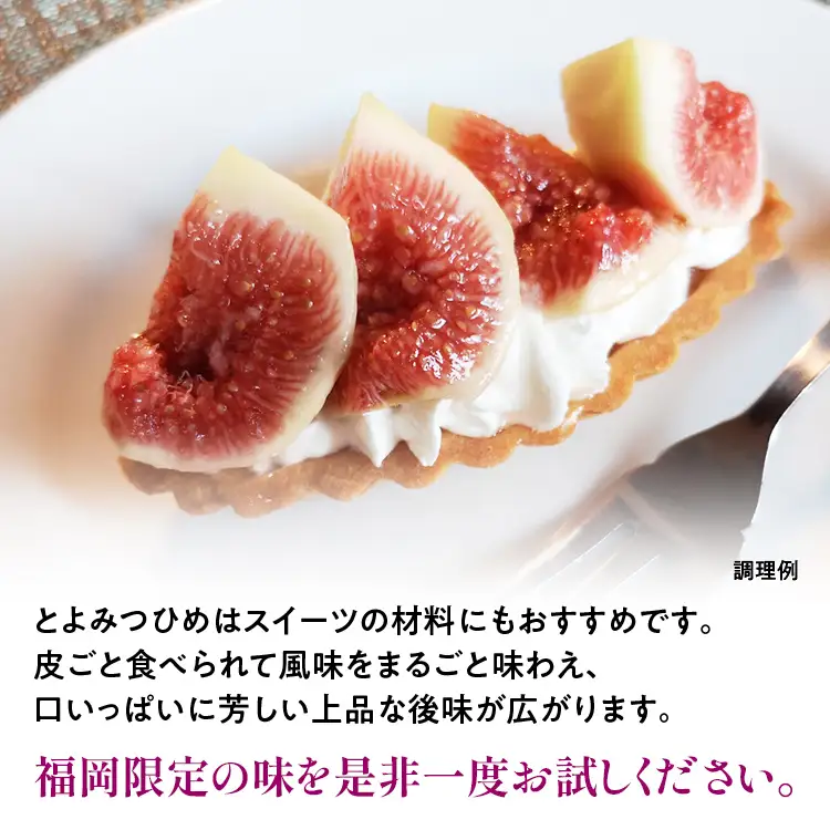 福岡県産ブランド無花果「とよみつひめ」(約300g×4パック)