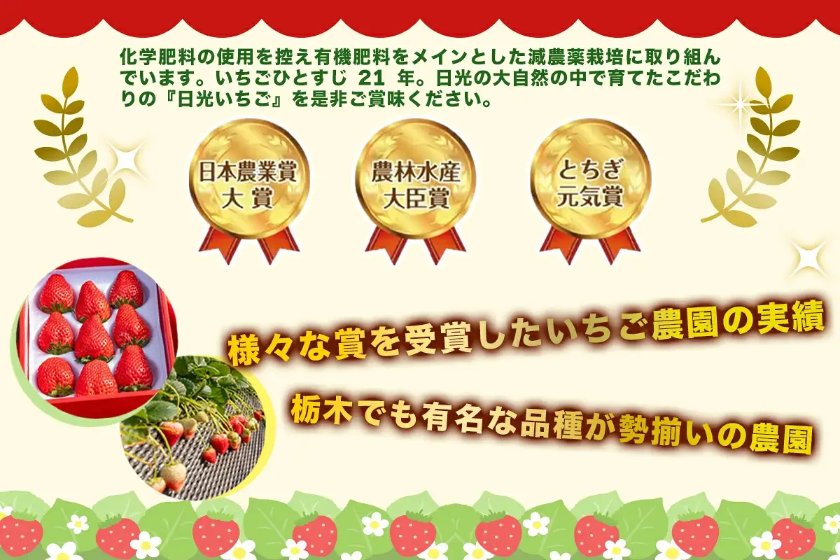 [先行予約] プレミアム『スカイベリー』大粒のみ厳選 8粒から15粒詰 約420g [2027年1月上旬より順次発送] [1028]