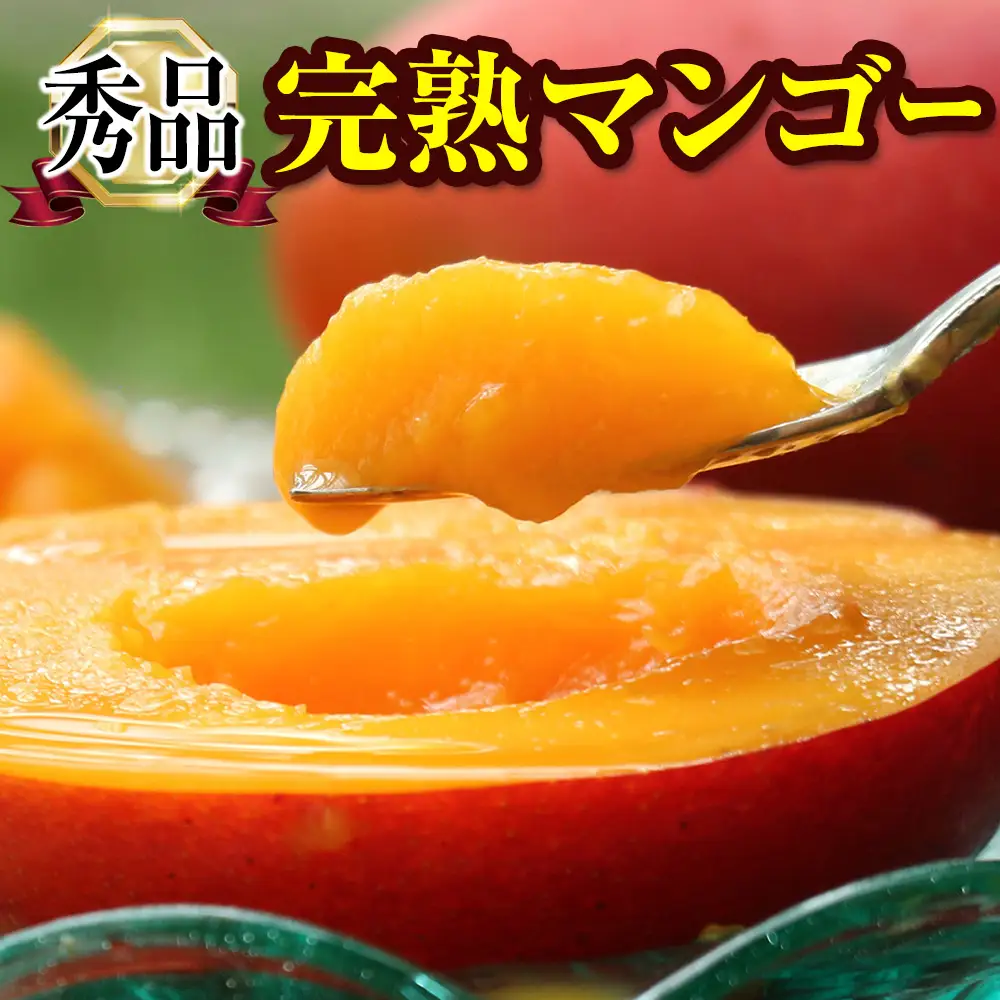 【2027年発送】「秀品」丹精込めた完熟マンゴー1kg 2玉～3玉