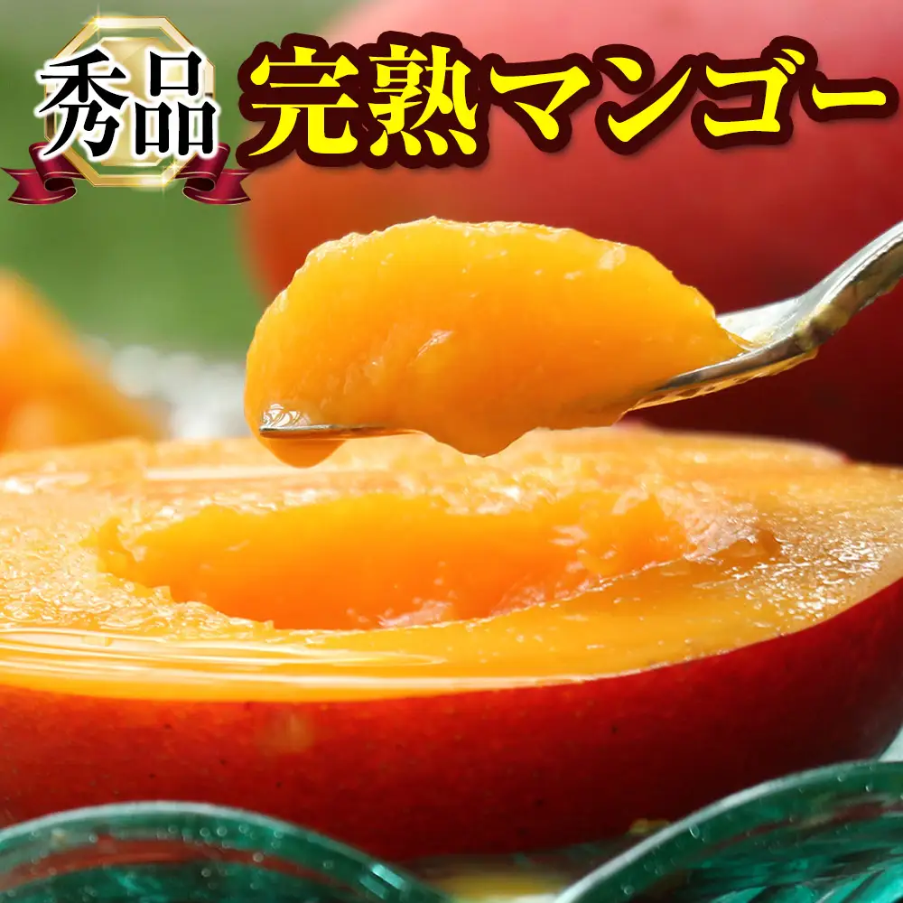 【2027年発送】「秀品」丹精込めた完熟マンゴー1.5kg 3玉～5玉
