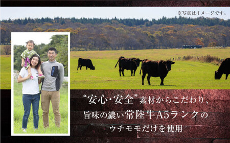 【常陸牛】佐藤さんの A5 ローストビーフ 2パック 合計300g（茨城県共通返礼品） 小分け パック 牛肉 モモ ウチモモ モモ肉 ローストビーフ ロースト ビーフ アウトドア お肉 肉 和牛 黒毛和牛 ブランド 常陸牛 お取り寄せ 冷凍 ドリームファーム佐藤牧場 茨城県 守谷市 ※沖縄県・離島への配送不可