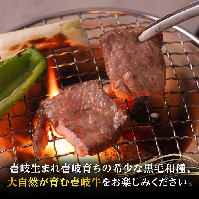 【高島屋選定品】〈壱岐市農業協同組合〉壱岐牛 赤身 焼肉用 500g《壱岐市》 牛肉 焼肉  [JFJ031] 25000 25000円