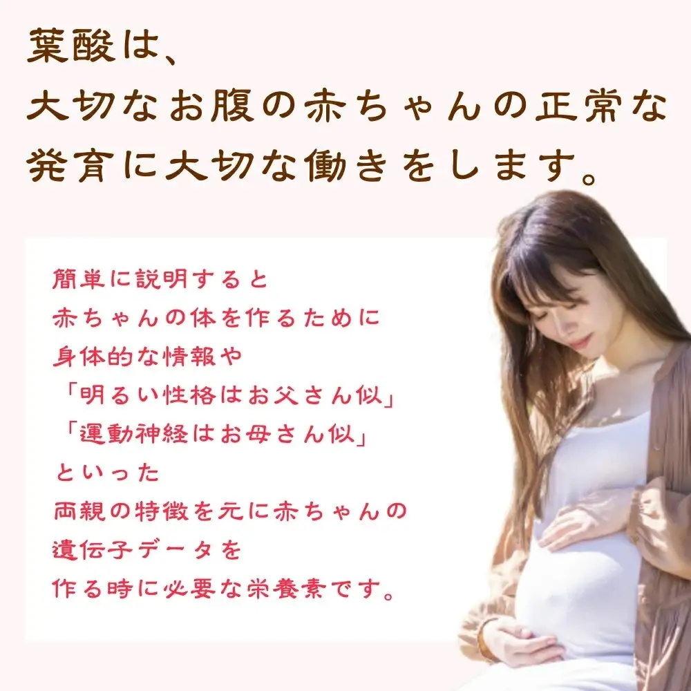 【先行予約】越後姫 いちご 雪国完熟 約170g×4P 越後姫 フルーツ
