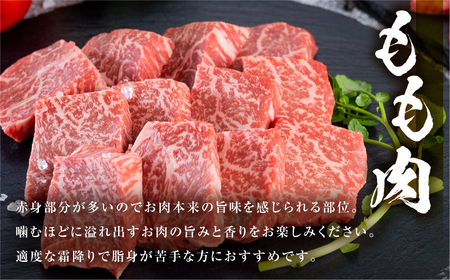 白川郷 飛騨牛 赤身 サイコロ ステーキ 500g 高山米穀 ステーキ [S564]