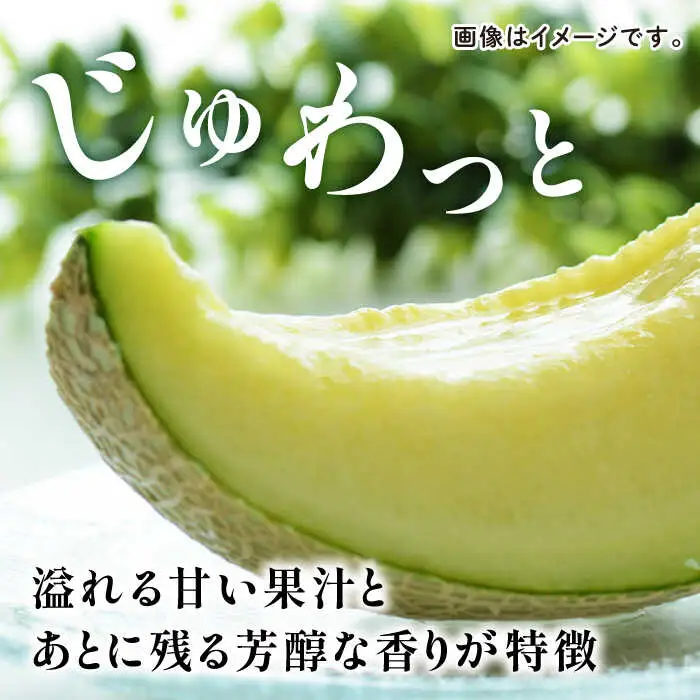 先行予約 年内発送 愛情 メロン 2玉【とみおか農園】[ZEM001]