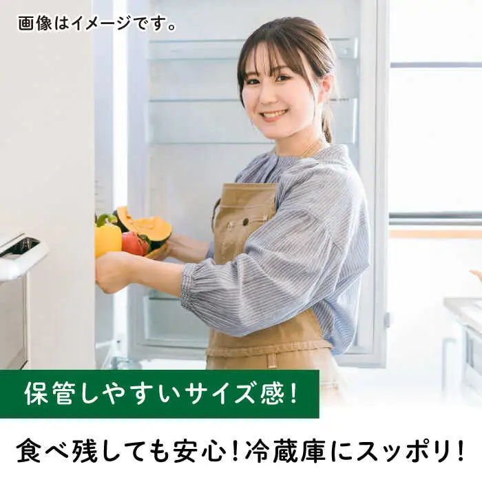 先行予約 ひとりじめBonBonリッチ黒皮小玉スイカ2玉すいか西瓜ZEM002