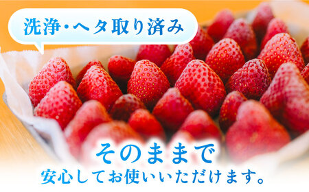 【先行受付】完熟 冷凍 あまおう 1kg 【2027年3月以降順次発送】糸島市 / slowberry strawberry [APJ006] あまおう いちご 果物 冷凍 冷凍あまおう フルーツ 果物 苺 