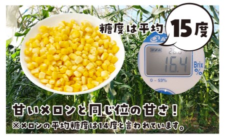 《2026年先行予約》甘い！飛騨のとうもろこし ゴールドラッシュ 4kg とうもろこし [B0224] syun31