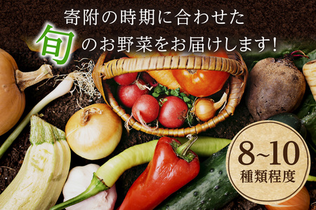 京都・京丹後 野菜セット【アスカ有機農園】旬の京丹後野菜セットS（栽培期間中　お試しサイズ・農薬・化学肥料不使用）＜京都 オーガニック アクション加盟＞京野菜セット・野菜 詰め合わせ・栽培期間中 無農薬・有機野菜（オーガニック野菜）などのセット・新鮮野菜・旬野菜・京野菜・有機野菜