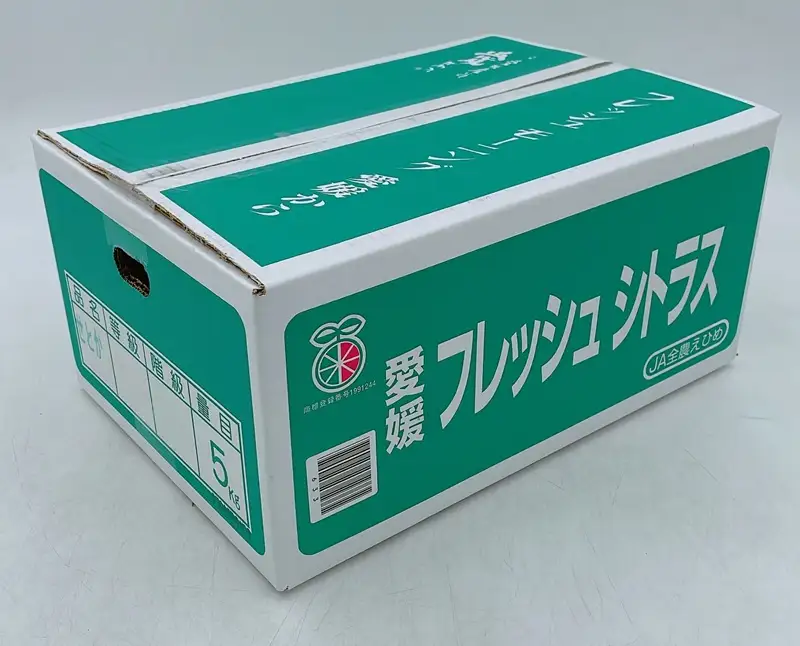 【2月中旬から順次発送】せとか 約5kg L～3Lサイズ ご家庭用 バラ詰め｜B193