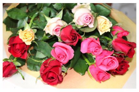 バラ 【6カ月定期便】約15本 花束 バラの花 薔薇
