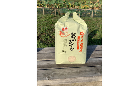 ＜令和8年産＞特別栽培米　彩のきずな　5kg