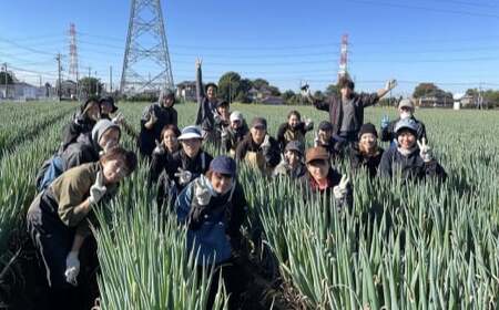 【詰め放題】ねぎセルフ収穫体験参加券【R9/1/9（土）～1/17（日）】