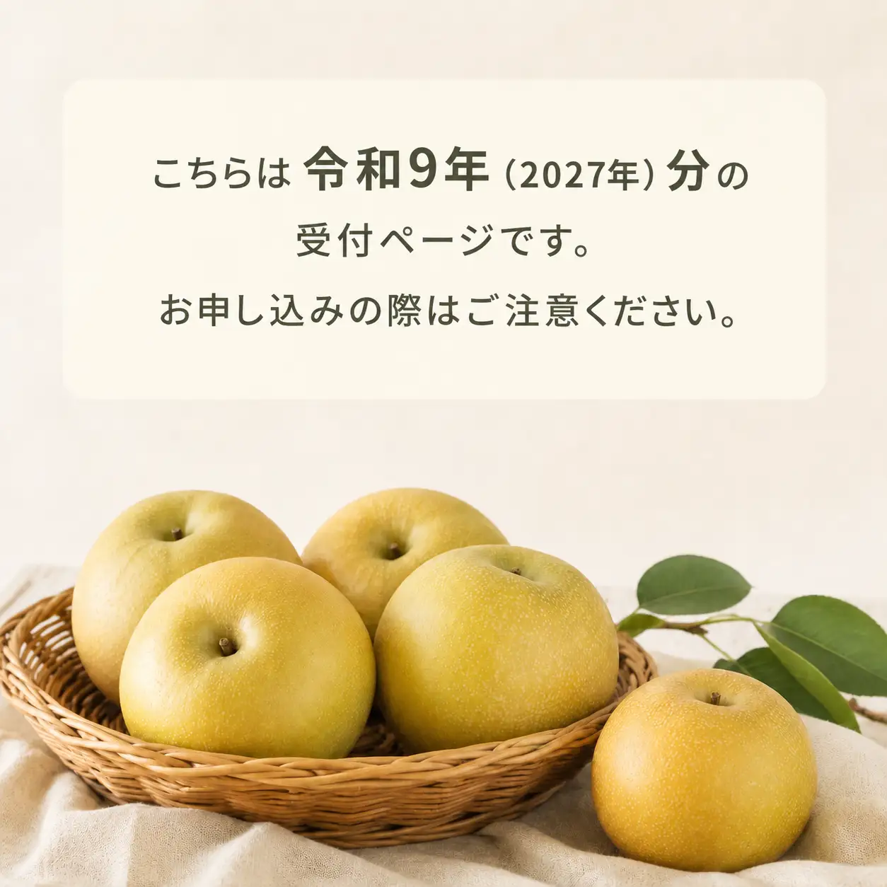 【R9先行予約】幸水・豊水・あきづき 約3kg 100年の歴史!!アライファームの「朝もぎ梨」
