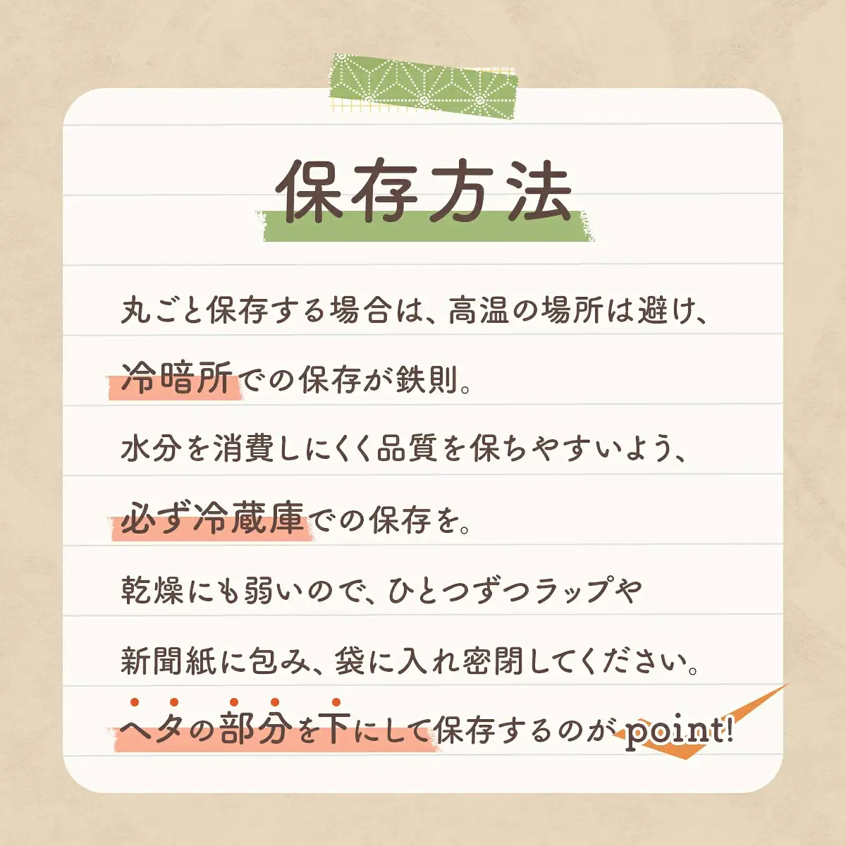 白岡の梨「白岡美人」あきづき梨約5kg（12～14玉）　【11246-0084】