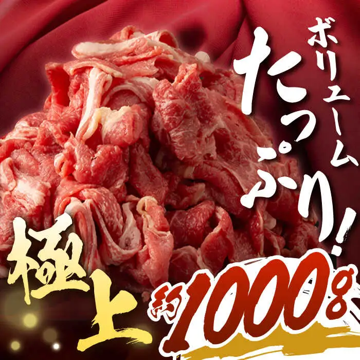 【日本一の和牛】牛肉 切り落とし 長崎和牛 計1.0kg （500g×2パック）【肉のマルシン】 [FG06] 肉 牛肉 赤身 小分け しゃぶしゃぶ すき焼き  