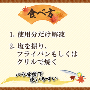 極小 さんま 2kg 1kg×2袋