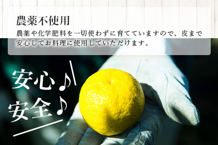 【先行受付・期間限定】 栽培期間中農薬・化学肥料不使用栽培の 木頭柚子 （黄玉） 1kg 【11月より随時発送】 徳島県 那賀町 木頭地区 徳島 那賀 木頭 木頭ゆず 木頭ユズ 木頭柚子 ゆず ユズ 柚子 果実 果物 柑橘 柑橘系 料理 ジャム 柚子風呂 OM-7