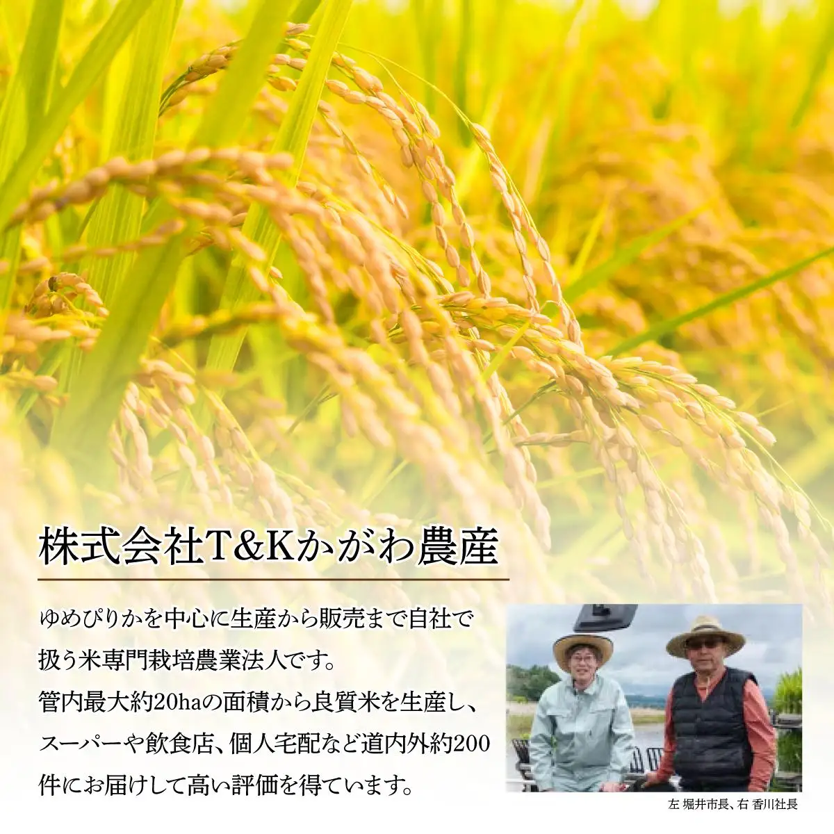 ＜先行予約＞【6回定期便】令和8年産 ゆめぴりか 精米 10kg【tkk-018】