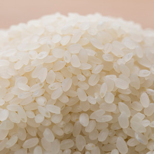 【定期便12ヶ月】新潟市産コシヒカリ 白米 5kg お米 精米 ご飯 代表 自然 飽きない 自信 美味しい 