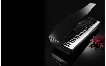 【コルグ】MICROPIANO　BK　　【11218-0669】
