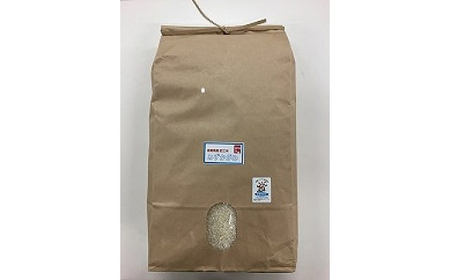 令和7年産 みずかがみ 白米 環境こだわり米 10kg 【K074W】 近江米
