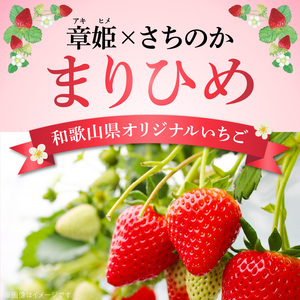 朝摘み 完熟 まりひめ いちご 約300g×2パック (合計約600g)_AB7334